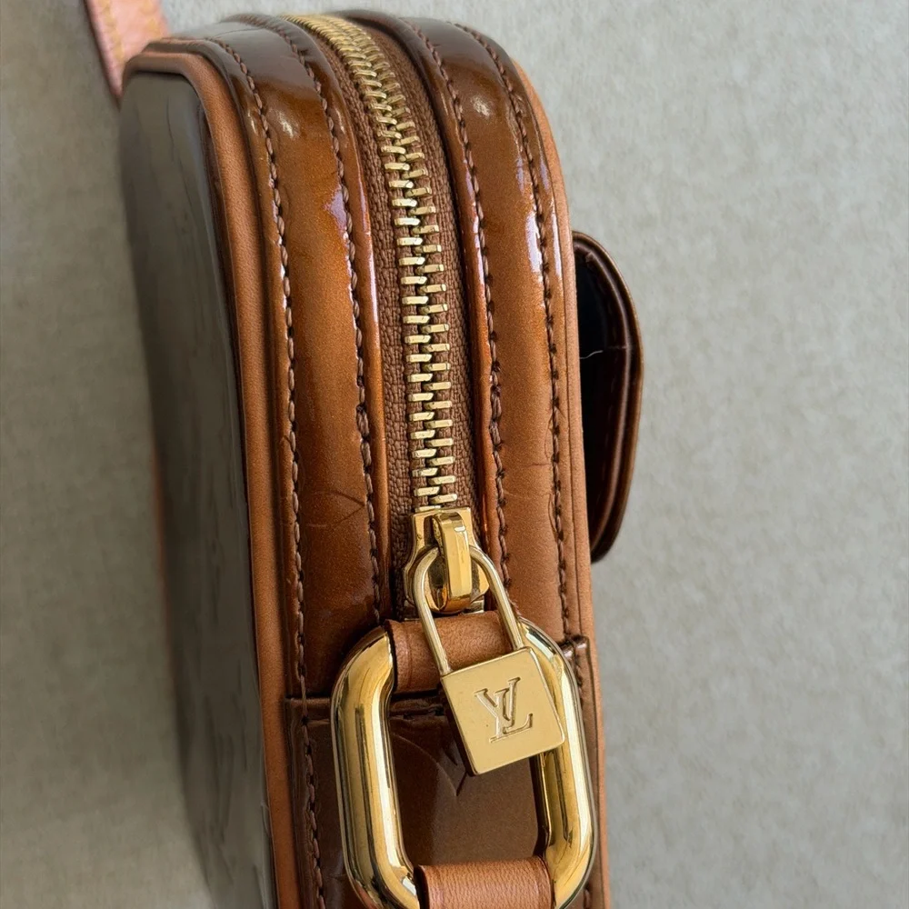 Louis Vuitton stylish brown